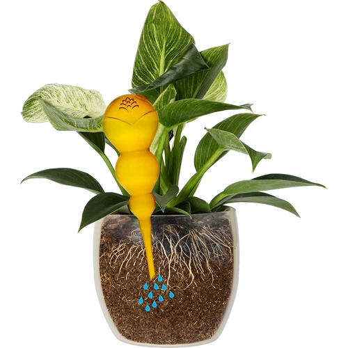 Τριπλή μπάλα ποτίσματος (τριών θαλάμων), διάφανη κίτρινη, 600 ml - 3