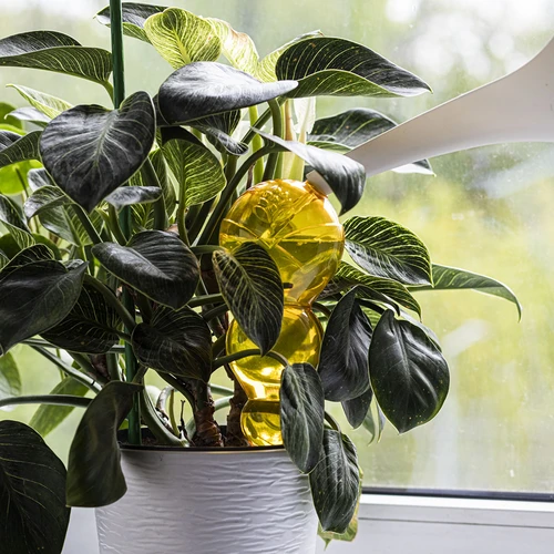 Τριπλή μπάλα ποτίσματος (τριών θαλάμων), διάφανη κίτρινη, 600 ml - 6