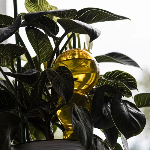 Τριπλή μπάλα ποτίσματος (τριών θαλάμων), διάφανη κίτρινη, 600 ml - 7