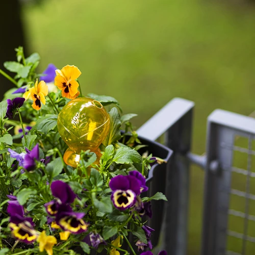 Τριπλή μπάλα ποτίσματος (τριών θαλάμων), διάφανη κίτρινη, 600 ml - 8