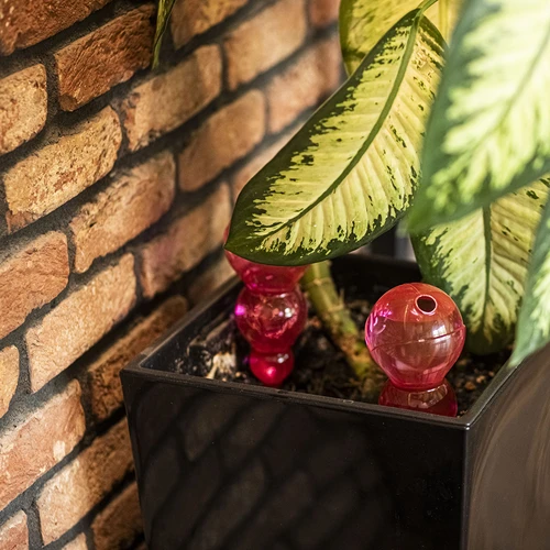 Τριπλή μπάλα ποτίσματος (τριών θαλάμων), διάφανη ροζ, 600 ml - 8