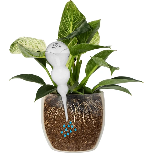 Τριπλή σφαίρα ποτίσματος (τριών θαλάμων), διάφανη άχρωμη, 600 ml - 3