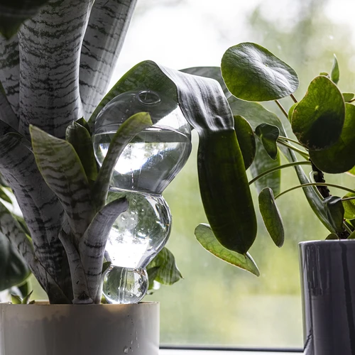 Τριπλή σφαίρα ποτίσματος (τριών θαλάμων), διάφανη άχρωμη, 600 ml - 7