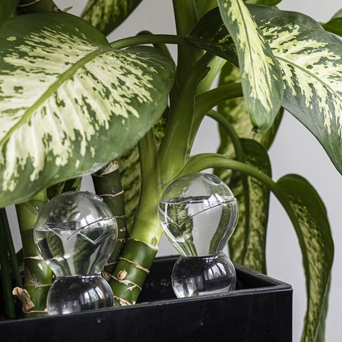 Τριπλή σφαίρα ποτίσματος (τριών θαλάμων), διάφανη άχρωμη, 600 ml - 8