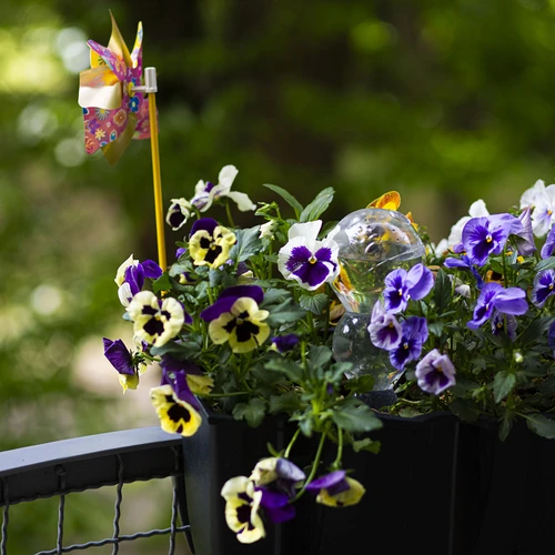 Τριπλή σφαίρα ποτίσματος (τριών θαλάμων), διάφανη άχρωμη, 600 ml - 9