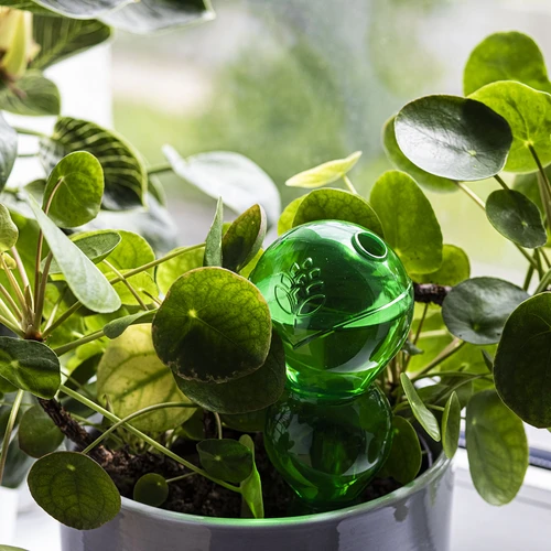 Τριπλή σφαίρα ποτίσματος (τριών θαλάμων), διάφανη πράσινη, 600 ml - 7