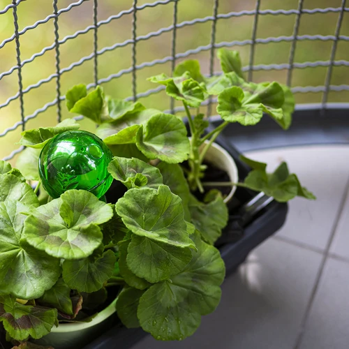 Τριπλή σφαίρα ποτίσματος (τριών θαλάμων), διάφανη πράσινη, 600 ml - 8