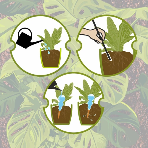 Τριπλή (τριών θαλάμων) μπάλα ποτίσματος, διάφανη άχρωμη, με κεραμική ακίδα, 600 ml - 10