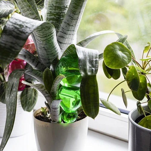 Τριπλή (τριών θαλάμων) σφαίρα ποτίσματος, διάφανη πράσινη με κεραμική ακίδα, 600ml - 8