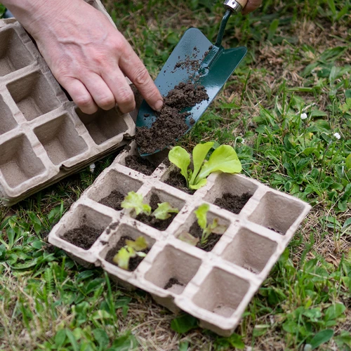 Χάρτινες γλάστρες 4,5 x 5 x 4,5, σετ 5 τεμ. - 5