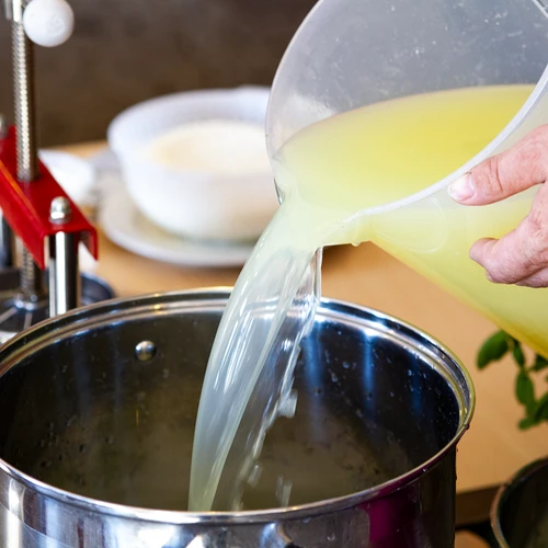 Χλωριούχο ασβέστιο για τυρί, 10 g - 10