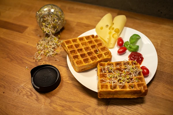 Αλμυρές βάφλες