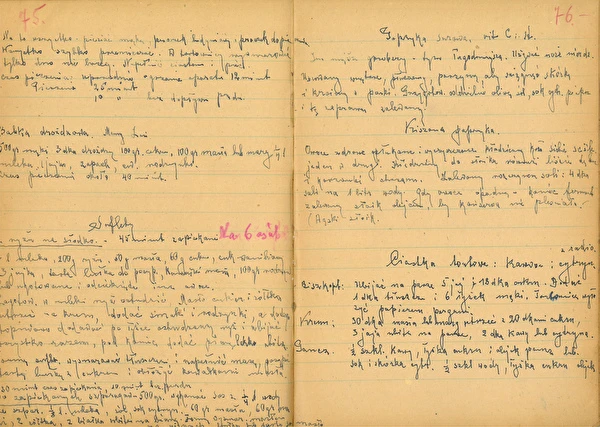 Επεισόδιο 2: Πιπεριά τουρσί με φύλλα βελανιδιάς