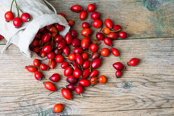 Κρασί από κυνόροδα με μέλι