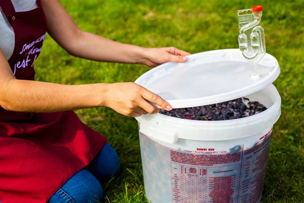 Πώς να φτιάξεις κρασί βήμα προς βήμα;