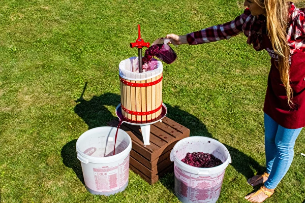 Πώς να φτιάξεις κρασί βήμα προς βήμα;