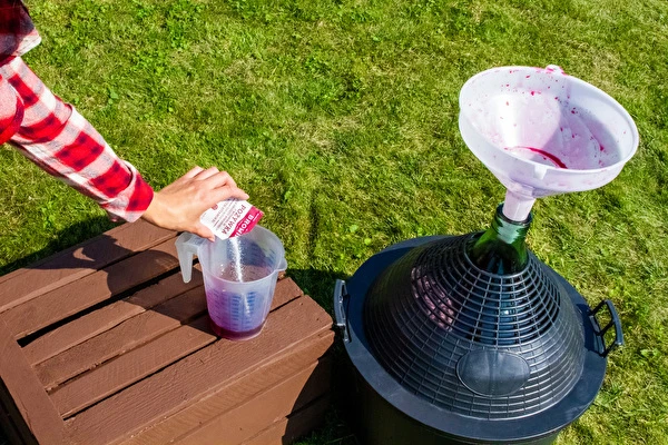 Πώς να φτιάξεις κρασί βήμα προς βήμα;