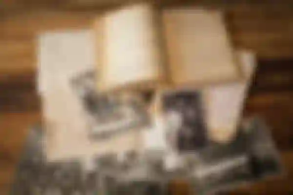 Επεισόδιο 1: Τούρτα από ψωμί ολικής άλεσης