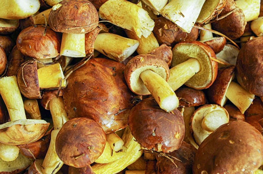 Browin Przepiśnik - Μαριναρισμένοι βωλίτες