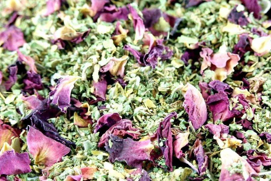 Browin Przepiśnik - Μηλίτης τριαντάφυλλου