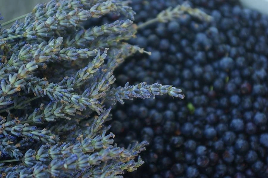 Σπιτικό κρασί λεβάντας - μύρτιλου