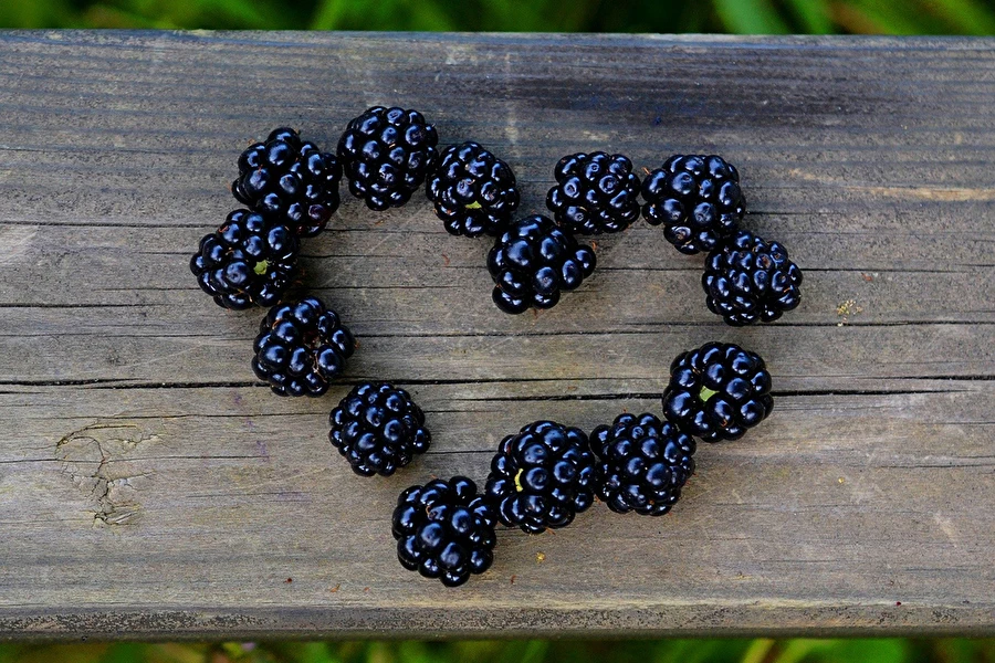Browin Przepiśnik - Σπιτικό λικέρ από βατόμουρα