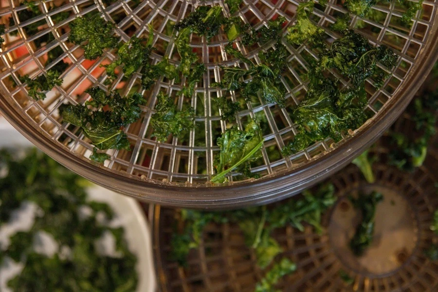 Browin Przepiśnik - Τσιπς από κέιλ